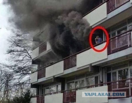 Веселые картинки