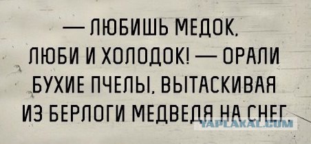 Веселые картинки