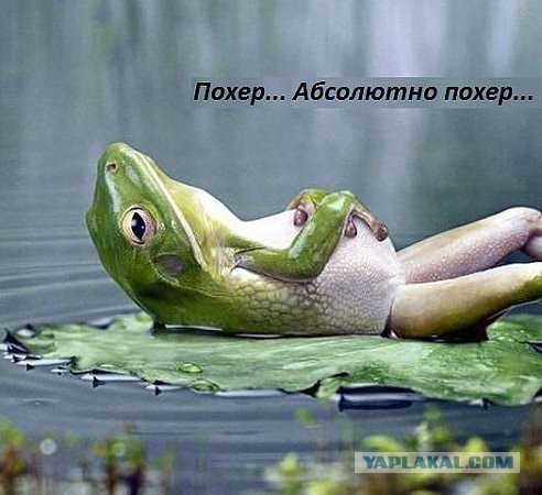 Местами поднадоевшие картинки