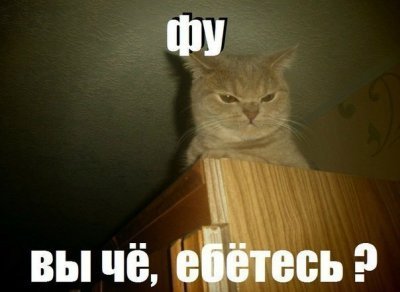 Секс при свидетелях