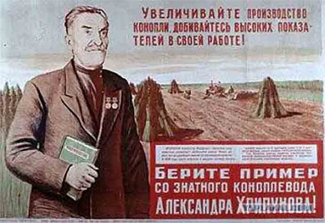 Легализуют ли в России коноплю?