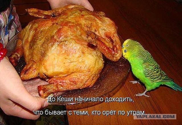 Немного картинок в пятницо.