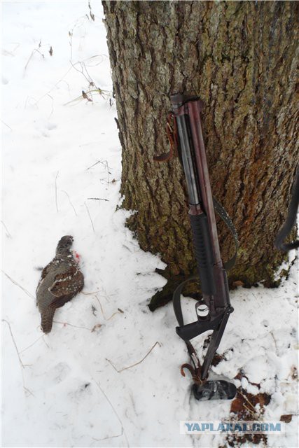 МР-18М-М
