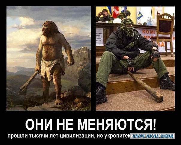 Тварь самообороны Запорожья ударила Сашу