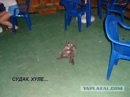 Судак