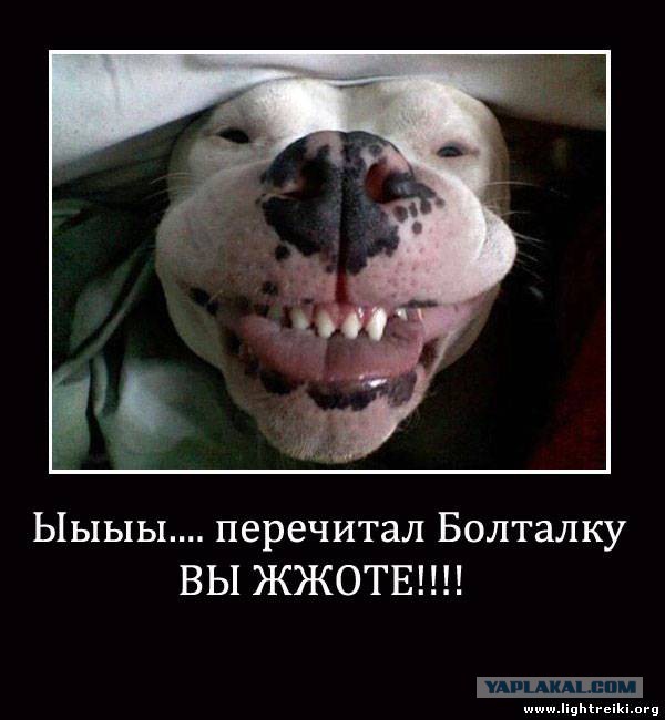 Смешные комментарии 02.08.2015
