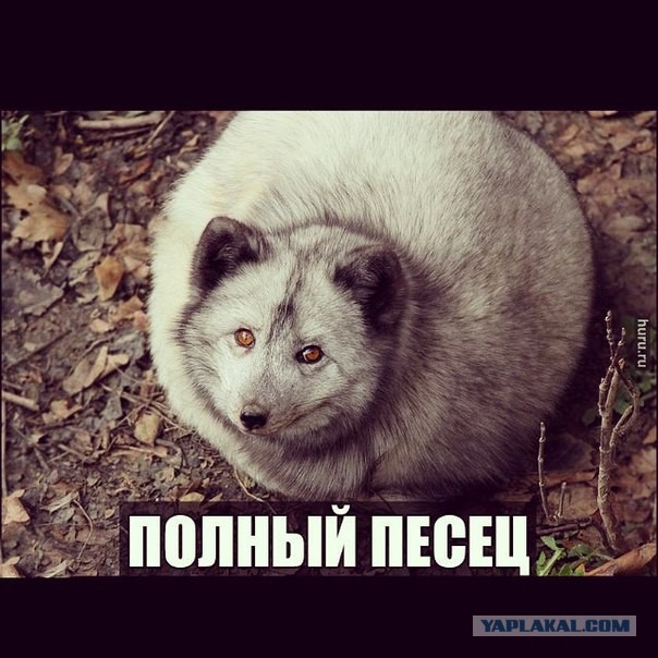 ЦБ "настойчиво идет" по пути укрепления рубля