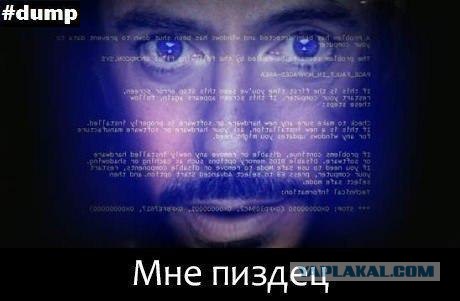 Что лучше, обычный муж или программист?