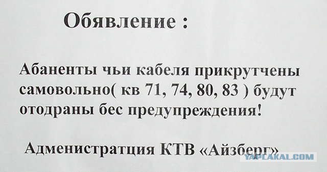 Добрые соседи и настойчивая бабушка