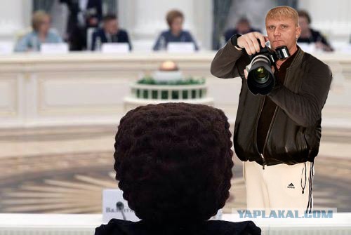 Фотожабы на кандибобер
