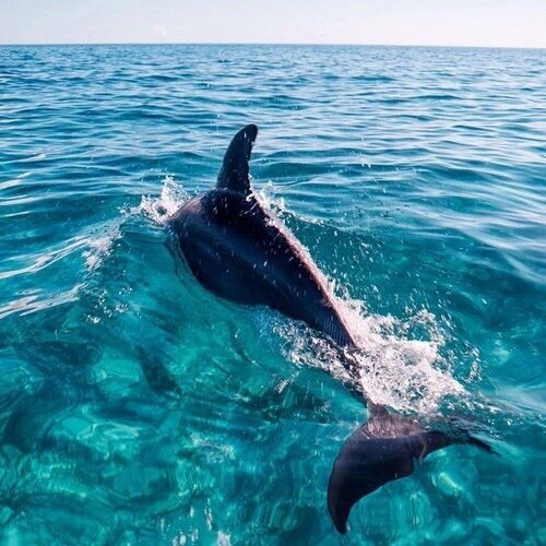 Разные картинки