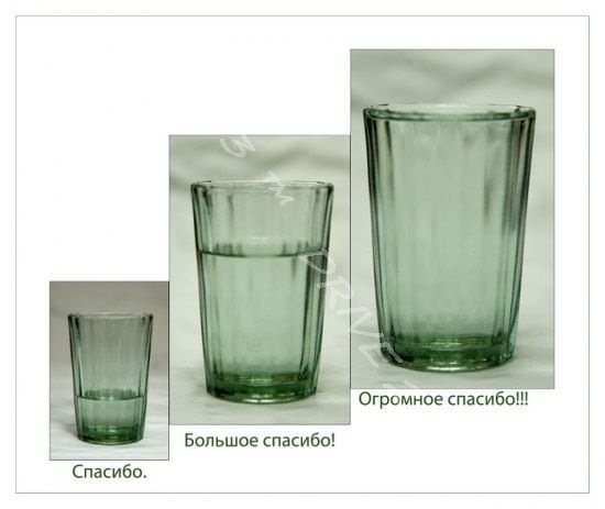 Барсеточники