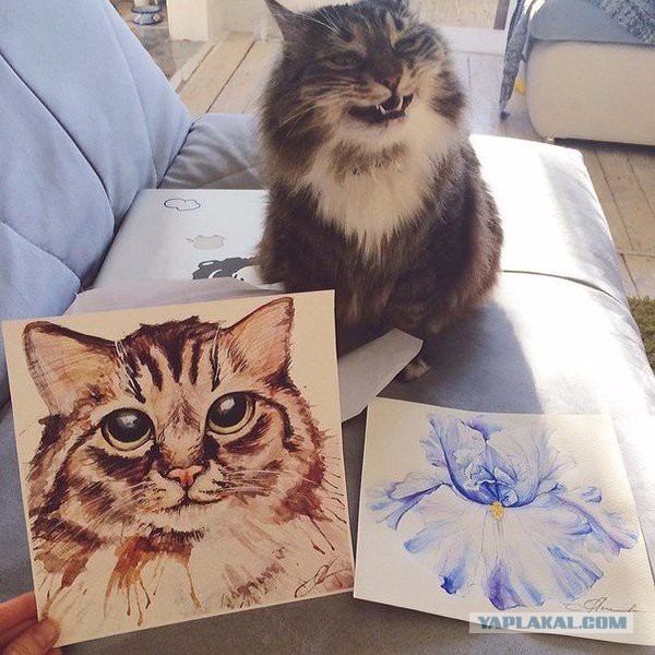 Больше, чем фото