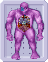 Народный креатив в вывесках, рекламах и пр.