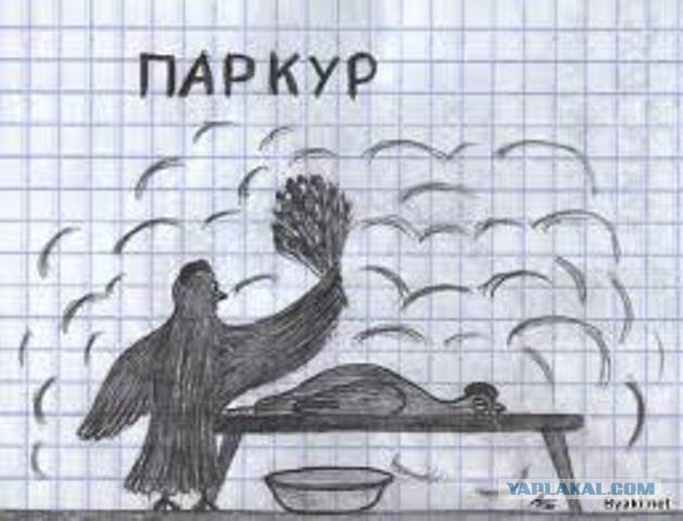 Абсурдная субботница