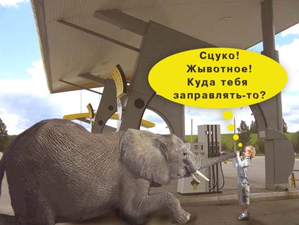 Фотожаба: Дареному слону..