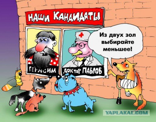 Картинки с надписями