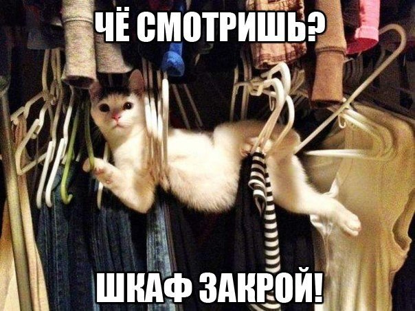 Мохнатые беспредельщики