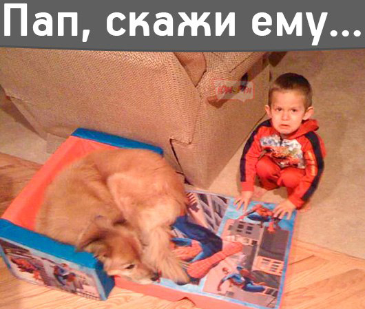 Порция позитива на вторник