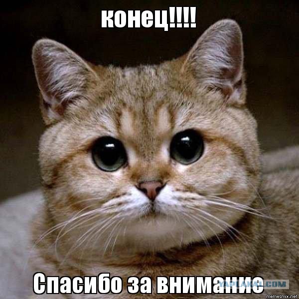 Про крокодилов