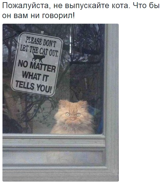 Забавные картинки с буквами