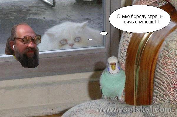 Барсик и Кеша (жесть)