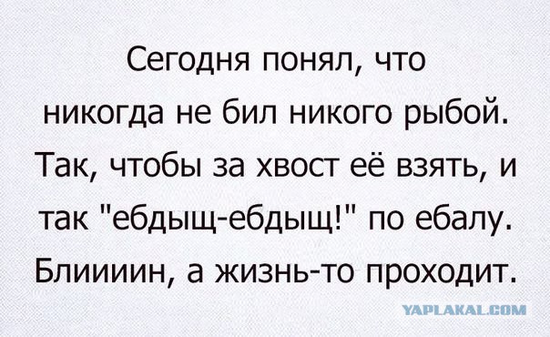 Смешные картинки с надписями