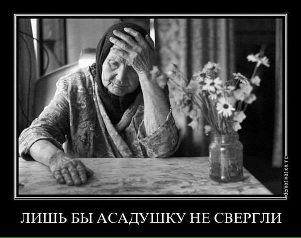 Подборка лучших страношаров за неделю