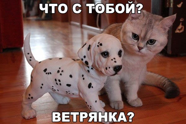 Подборка смешных картинок