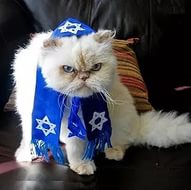 Медведеву подарили в Израиле беспилотник без пульта