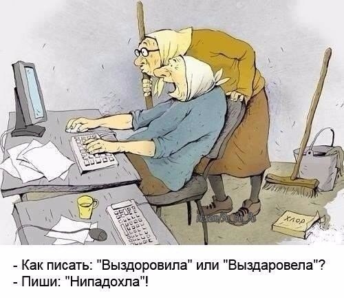 Подборка интересных и веселых картинок