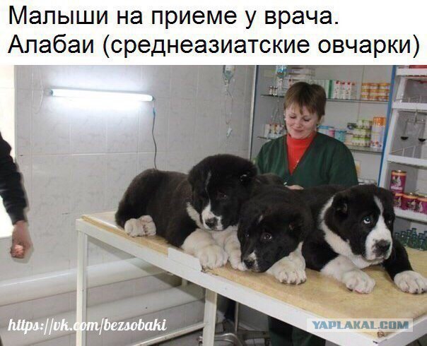 Подборка интересных и веселых картинок