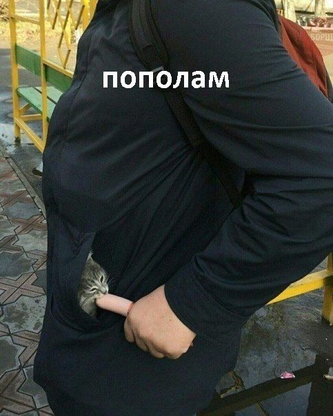 Нестандартный юмор
