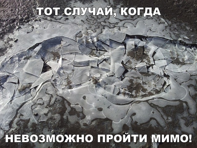 Будет чего-то из сетей