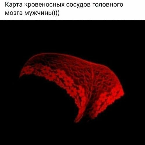Смотреть!  Кому, ржать? Кому, плакать...