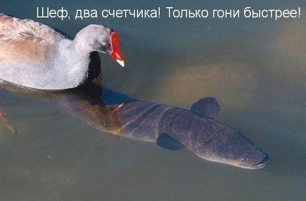 Чуток картинок.  Вечерние