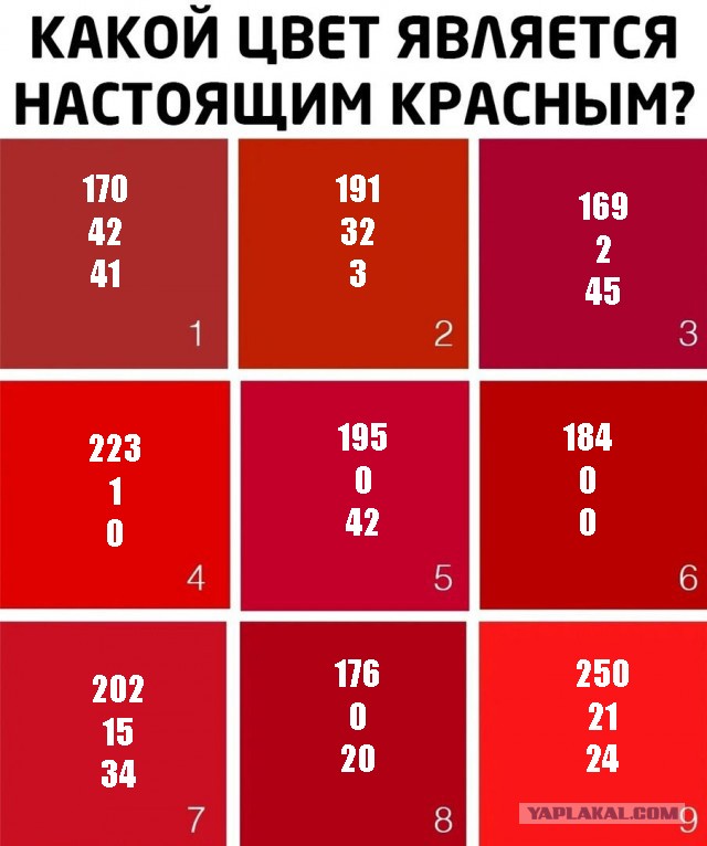 Чуток картинок 31.03.20