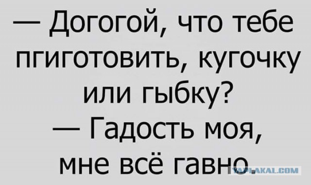 "А-а-а, говорящее бревно!" или все плохо