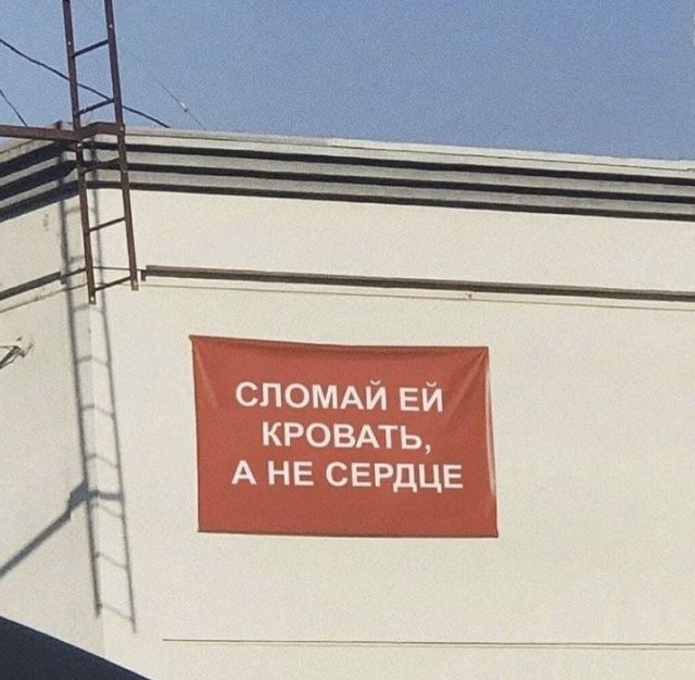 "Солянка" из картинок для улыбнуться или позалипать в среду
