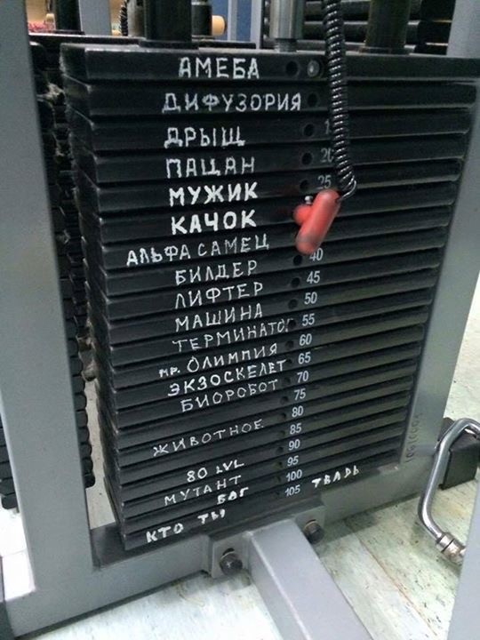Тук тук тук! это деградация нах...