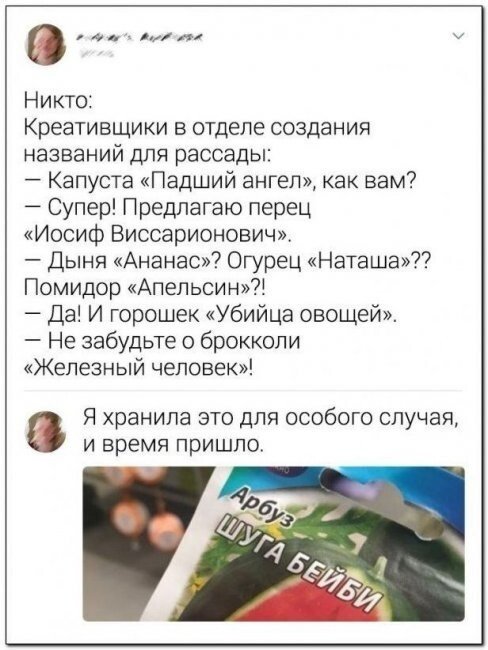 Прикольные и просто красивые картинки 22.06.2021