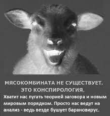 Пандемия. Коронавирус. Россия и мир. Часть 28