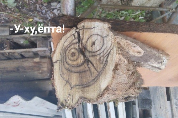 Пилил сегодня дрова