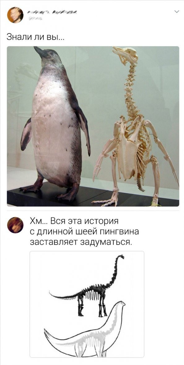 Насколько опасными были древние хищники: Что не так на иллюстрациях и кадрах