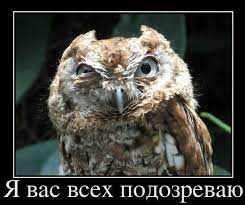 Короче, поступила как мужик