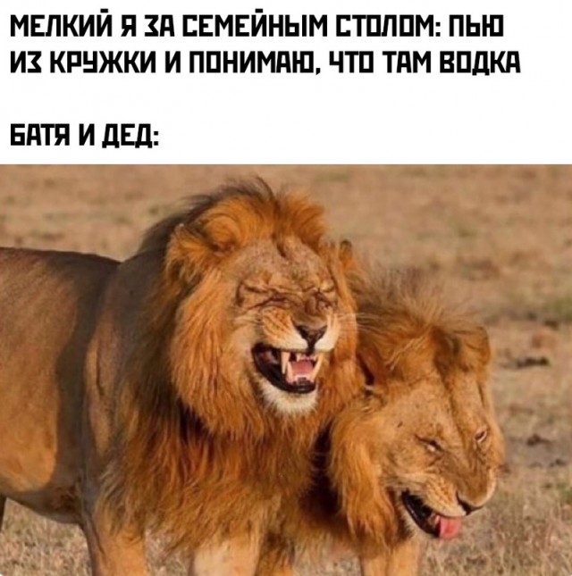 Очередная сборка картинок! Кому баян, кому гармонь, а кому в новинку!