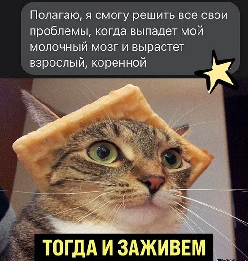 Дело было вечером, выпить было нечего...