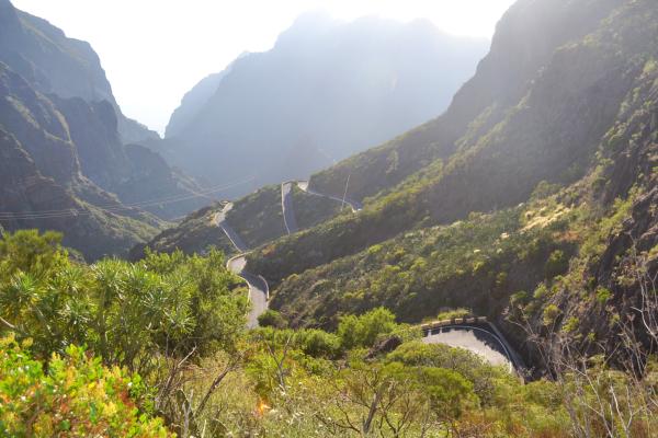 Хочу дачу на канарах!