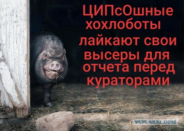 Беспилотники утром во вторник атаковали Кстовскую промзону
