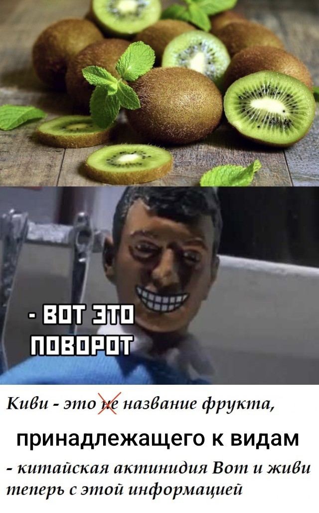 Весёлый полтишок 08.04.24